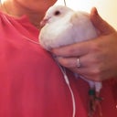 tabithav84