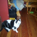 blured connie in cuenca