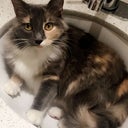 blured Blissfully.me.123