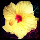 ILoveIt