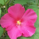 blured GettinMySexyBack