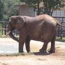 blured Ms.MollyBrown