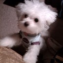Mimi2004