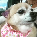 lildawnp