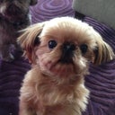 chubbyncute