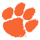 TigerNurse09