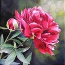 blured Quiet Thinker