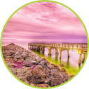PinkMoscato72